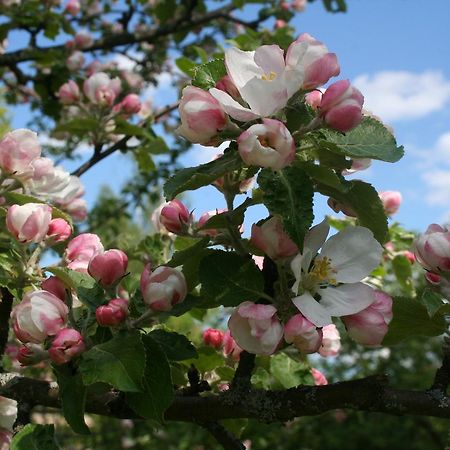 Gaestrum Gnottnehult Osterbymo Luaran gambar